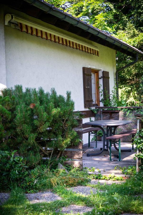 Ferienhaus Schetteregg Bagian luar foto
