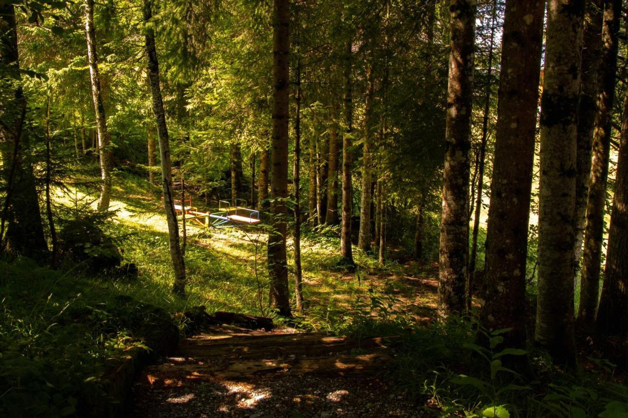 Ferienhaus Schetteregg Bagian luar foto
